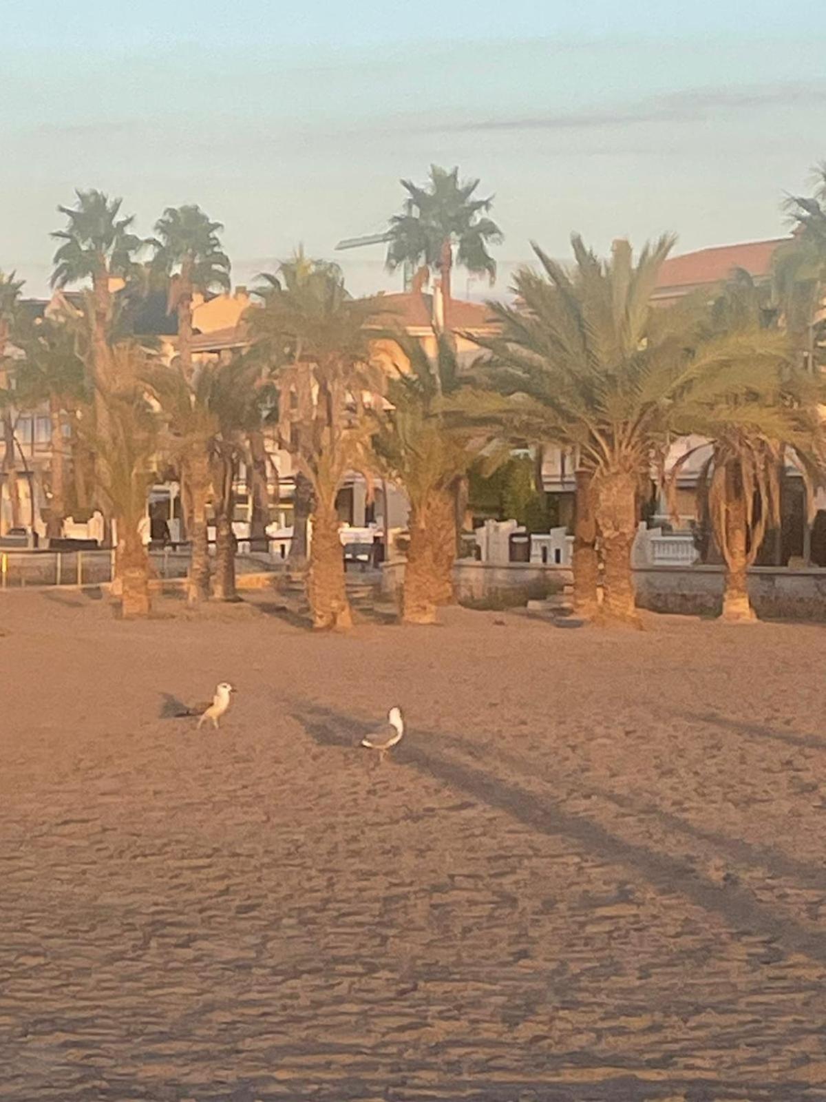 Apartamento Vacaciones en playa del Tamarit Santa Pola Exterior foto